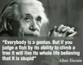 /album/photogallery/einstein-quotes-jpg/